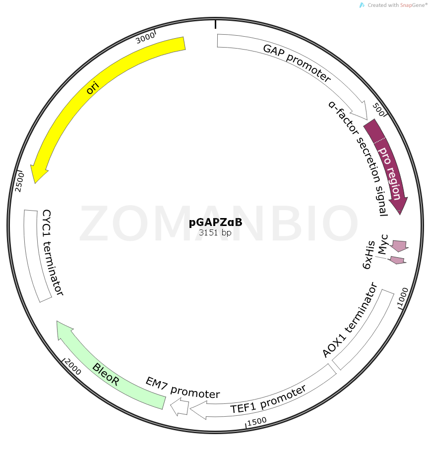 ZK932pGAPZαB.png